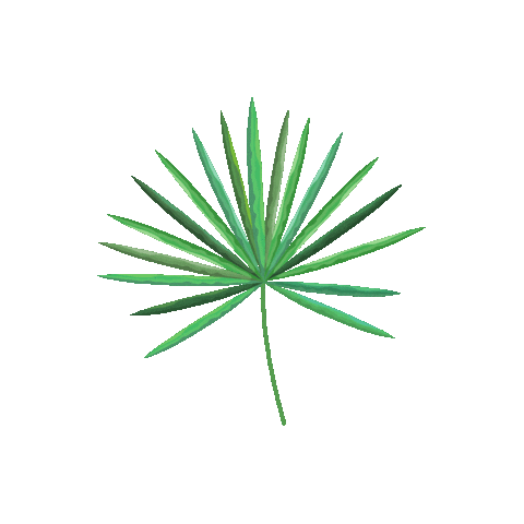 hairmax Sticker