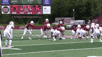 One Handed Catch Football GIF by Lafayette Leopards