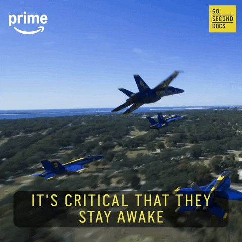 The Blue Angels GIF by 60 Second Docs