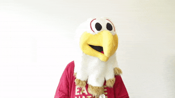 Say That Again Excuse Me GIF by Bridgewater College