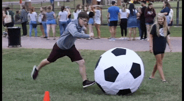 Kickin It Soccer GIF by Roanoke College
