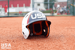 Team Usa GIF by USA Softball