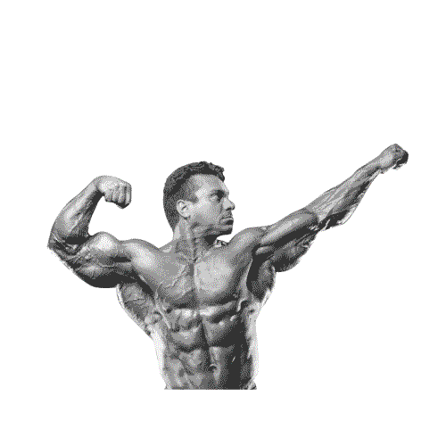 Gaspari Nutrition Sticker