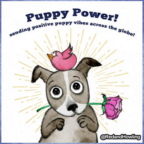 Puppy-power GIFs - Get the best GIF on GIPHY