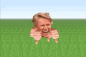 gary busey why the frick GIF