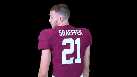 shaeffer meaning, definitions, synonyms