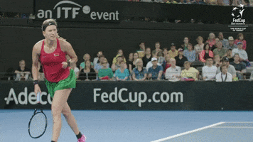 Celebration Winning GIF by Fed Cup by BNP Paribas