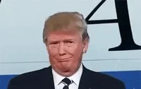 donald trump deal with it GIF