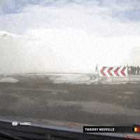 Sport Fail GIF by FIA World Rally Championship