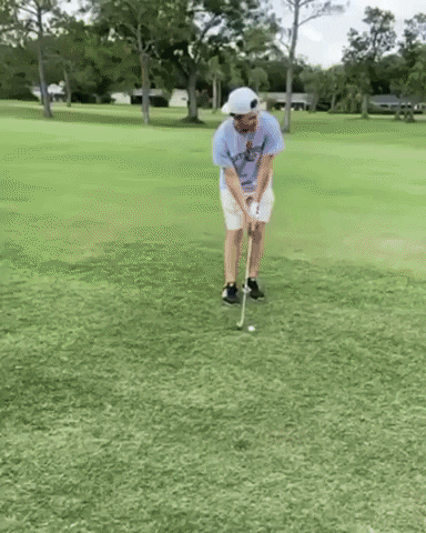 Golf GIF