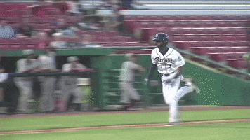 Slide GIF by Kane County Cougars
