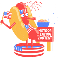 4Th Of July Usa GIF by Jelly London