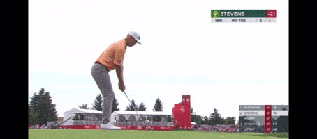 Golf GIF