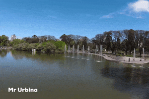 Buenos Aires Summer GIF by Mr Urbina