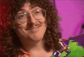 Celebrity gif. Al Yankovic looks towards us and does a slow nod with a wide, goofy smile. Text, "Cool!"