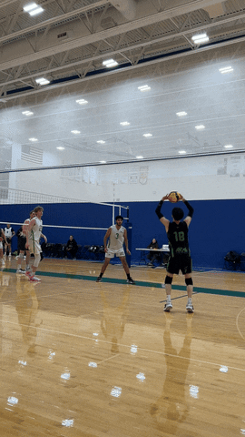 Sport Volleyball GIF by Easy Daysies