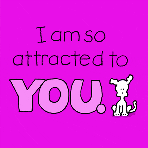 I Love You Attraction GIF by Chippy the Dog