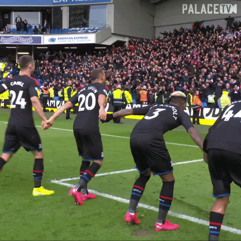 Premier League Win GIF by CPFC