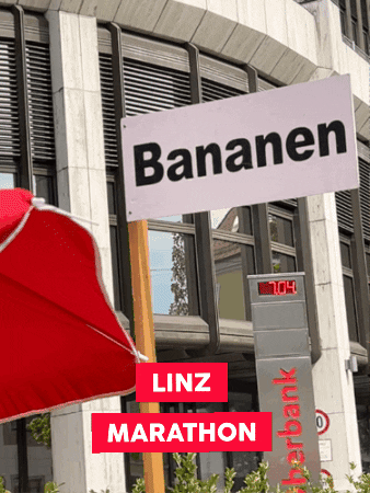 Austria Marathon GIF by Linz News