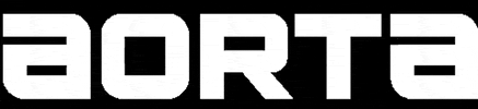 crossfitaorta GIF