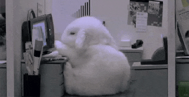 Sleep GIF