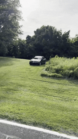 Belt GIF