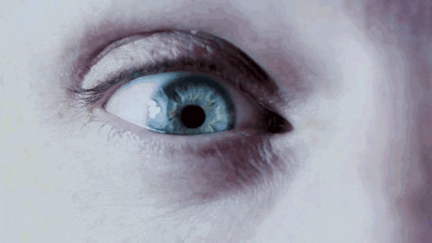 Monster Artist Management GIF - Find & Share on GIPHY