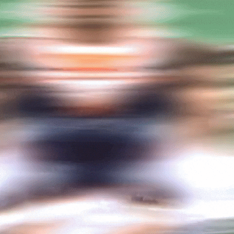 Brisbane Broncos Nrl GIF