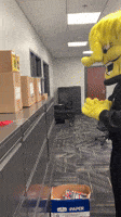 200.gif