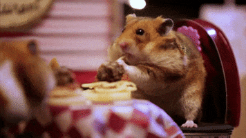 Valentines Day Eating GIF