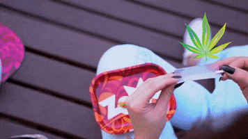 Zomo Paper GIF