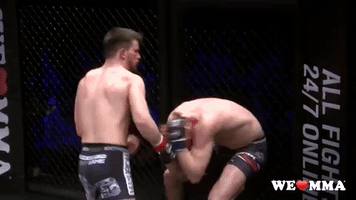 fight GIF by We love MMA
