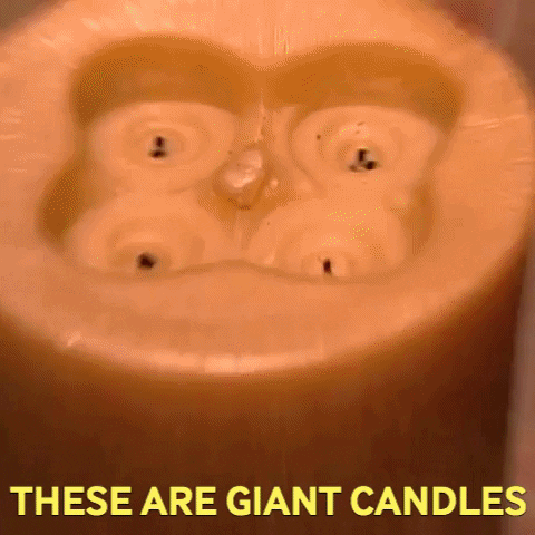 pics Mtv Cribs Fridge Gif home candles gif by mtv cribs find
