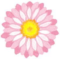 Flower Wildflower Sticker