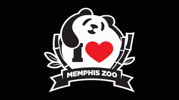 GIF by Memphis Zoo