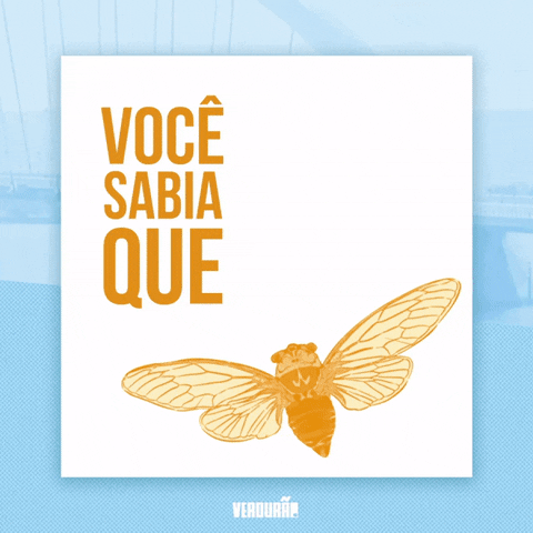 Verdurão Camisetas GIF