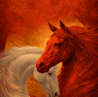 GIF by SPIL