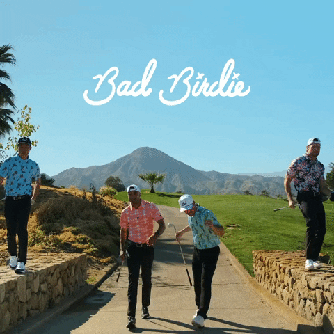 Bad Birdie Golf GIF