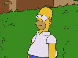 Homer Simpson Reaction GIF