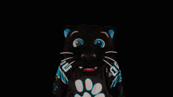 Sir Purr GIF by Carolina Panthers
