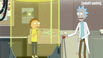 Season 3 Episode 308 GIF by Rick and Morty