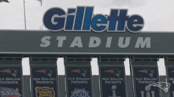 Celebrate Super Bowl GIF by New England Patriots