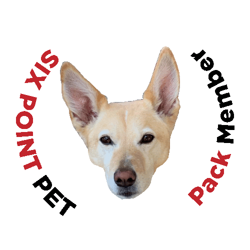 Six Point Pet Sticker