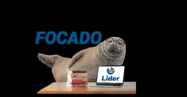 Focado GIF by Lider Consultoria EAD