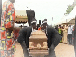 Coffin Dance GIF