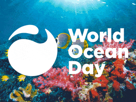 Fish Coral GIF by World Ocean Day