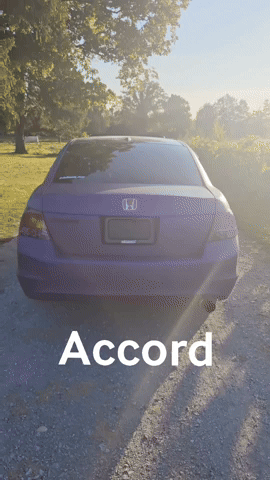 Accord GIF