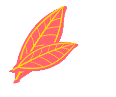 Krikit Sticker by Holistik