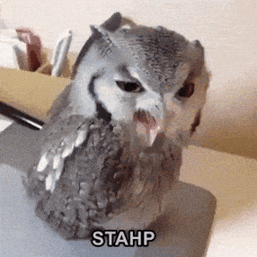 Stop No GIF