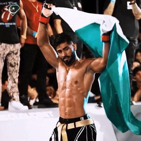 Ufc Fighter Karate GIF